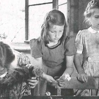 Cura delle piante Third-year schoolgirls giving the flowers fresh water. Montessori class, Berlin-Tegel, 1950 - T. Müller, R. Schneider, <em>Lehrmaterialien 1913-1935. Möbel und Architektur. Techning Meterials 1913-1935. Furniture and Architecture</em>, München, Prestel Verlag, 2002, p.85$$$437